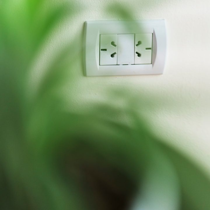 Weiße Steckdose an einer Wand mit verschwommenem Pflanzenhintergrund.